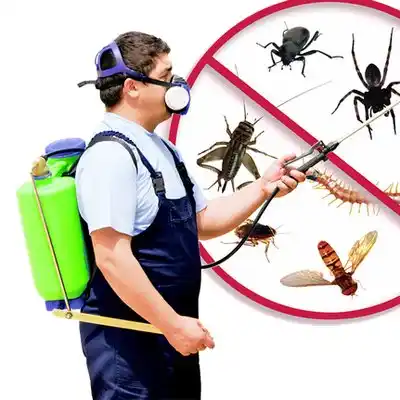pest control Waldwick
